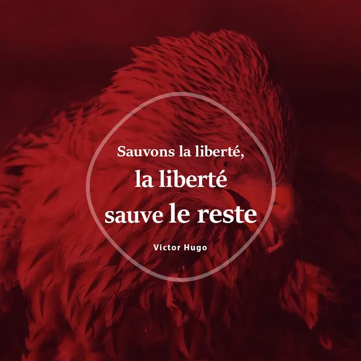Citation sur la Liberté par Victor Hugo